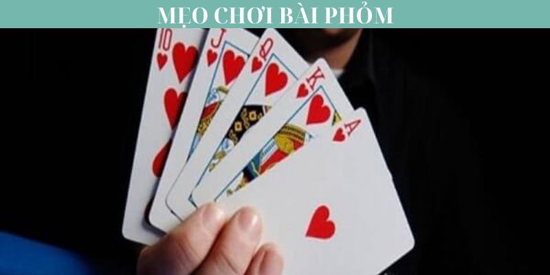 Mẹo chơi bài phỏm từ các cao thủ